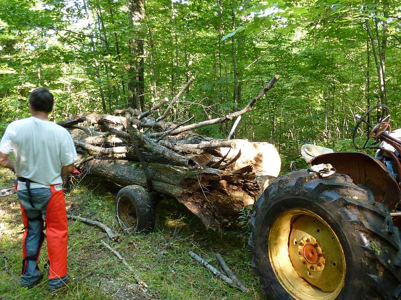 the first wagon load