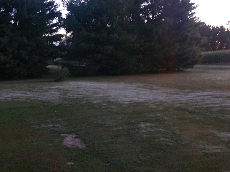 frost on the grass