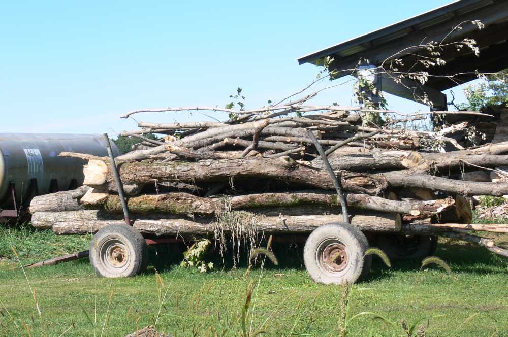 wagon load of wood