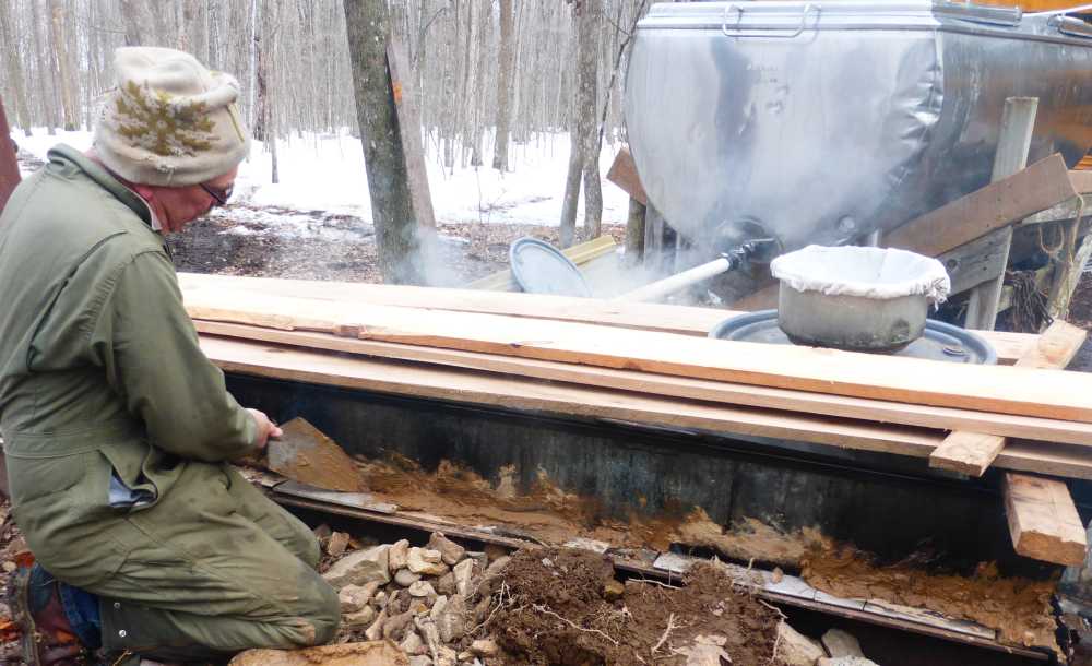 Sugarbush maintenance