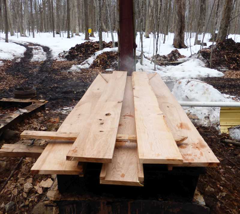 Sugarbush maintenance