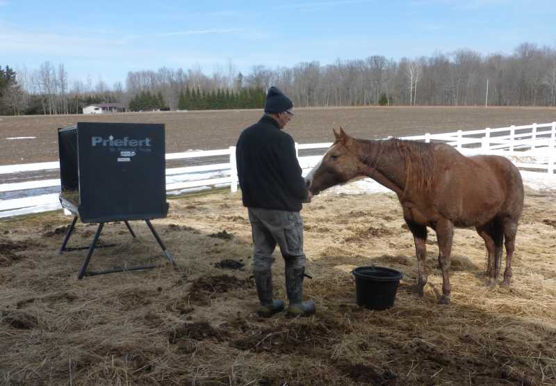 Horse feed