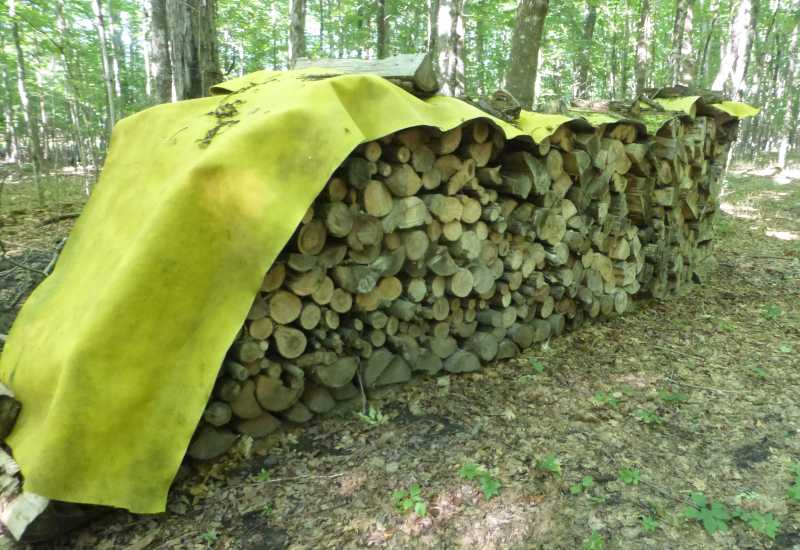 WoodPile