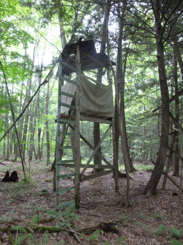 TreeStand