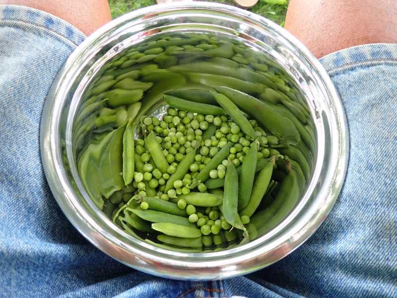 Peas